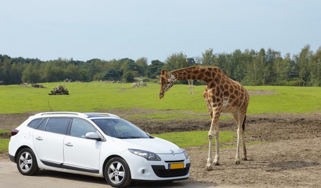 Safaripark Beekse Bergen